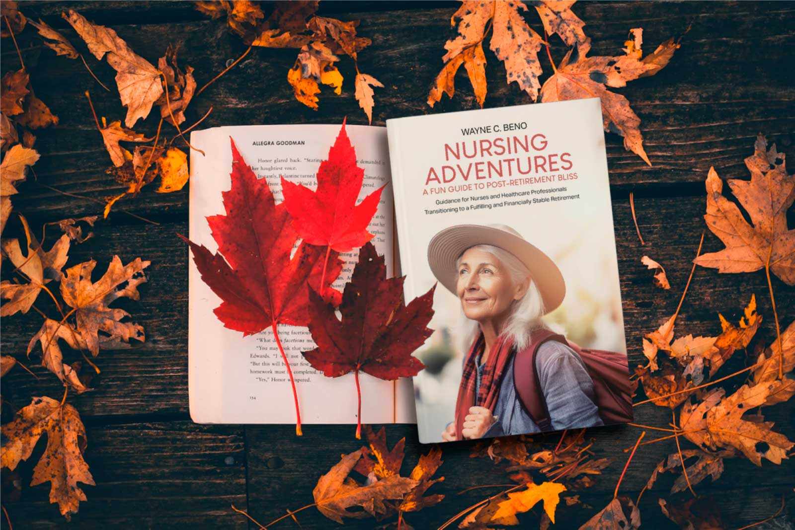 nursing adventures book by author wayne beno